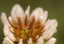 Una ofrenda para Jesús
