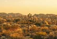 Recordatorio de la presencia de Dios