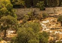 Lágrimas y esperanza