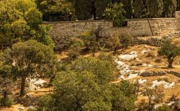 Lágrimas y esperanza