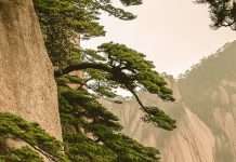 La perspectiva de Dios