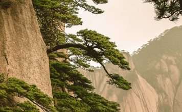 La perspectiva de Dios